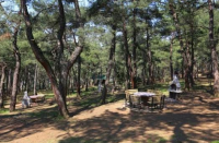 Sonbaharda Bursa: Fotoğrafçılar İçin Sarı ve Kızılın En İyi Rotaları