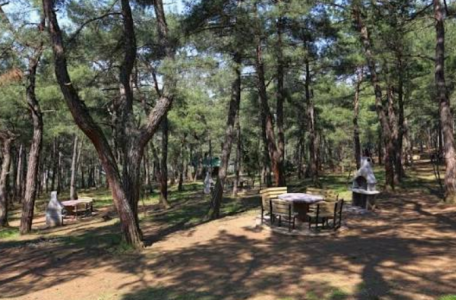 Sonbaharda Bursa: Fotoğrafçılar İçin Sarı ve Kızılın En İyi Rotaları